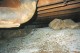 View Crawl Mold